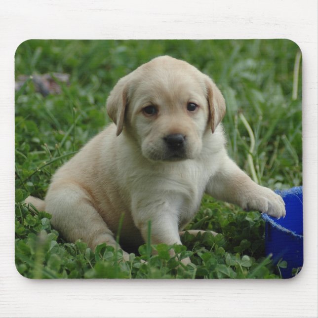 Tapis De Souris chiot-laboratoire-HD-papier peint (Devant)