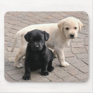 Tapis De Souris chiot mousepad