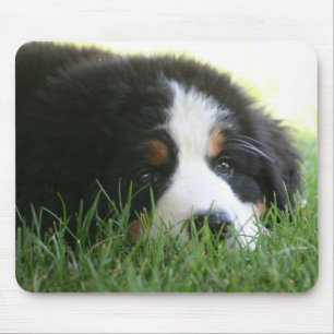 Tapis De Souris Chiot Mousepad de Bernese