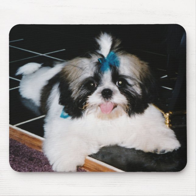 Tapis De Souris Chiot Mousepad de Shih-Tzu (Devant)
