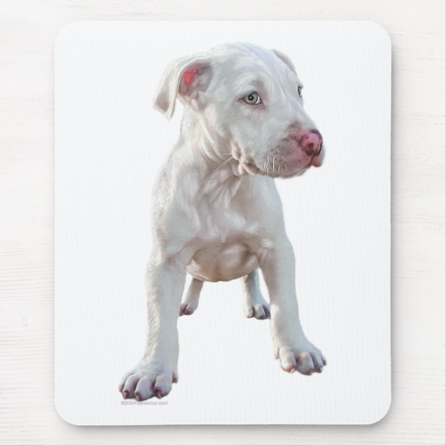 Tapis De Souris Chiot Pitbull blanc (Devant)