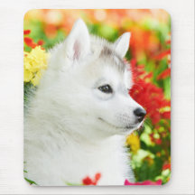 Chiot sibérien Husky en fleurs Mousepad