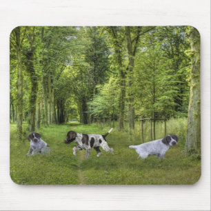 Tapis De Souris Chiots allemands Mousepad d'indicateur aux cheveux