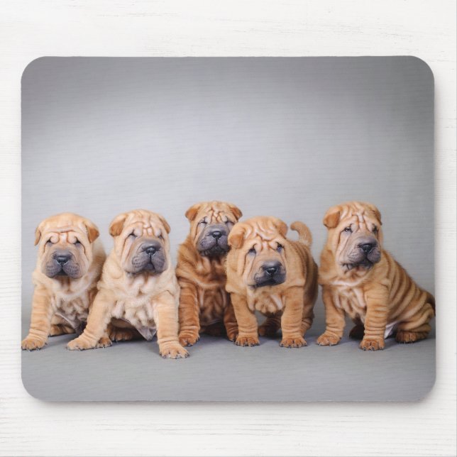 Tapis De Souris Chiots chinois Shar Pei (Devant)