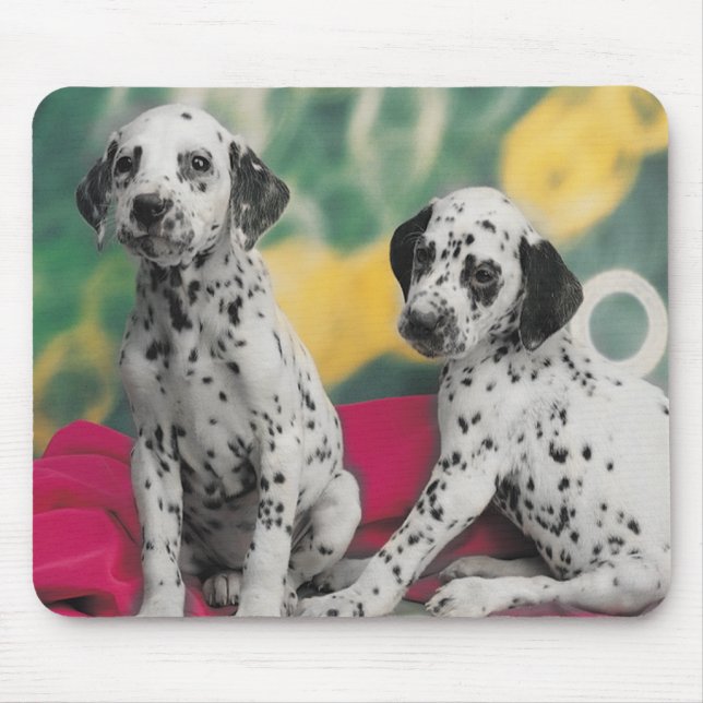 Tapis De Souris Chiots dalmate Mousepad (Devant)