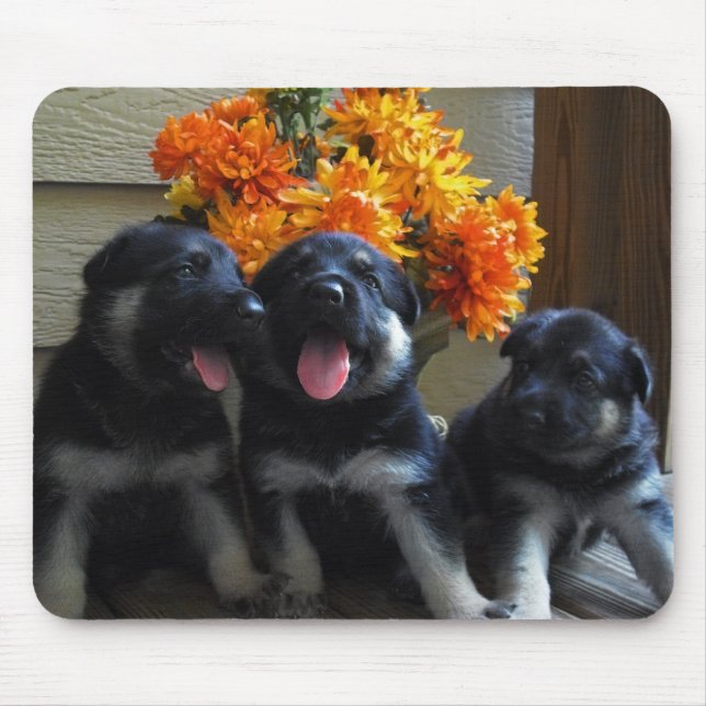 Tapis De Souris Chiots de berger allemand (Devant)