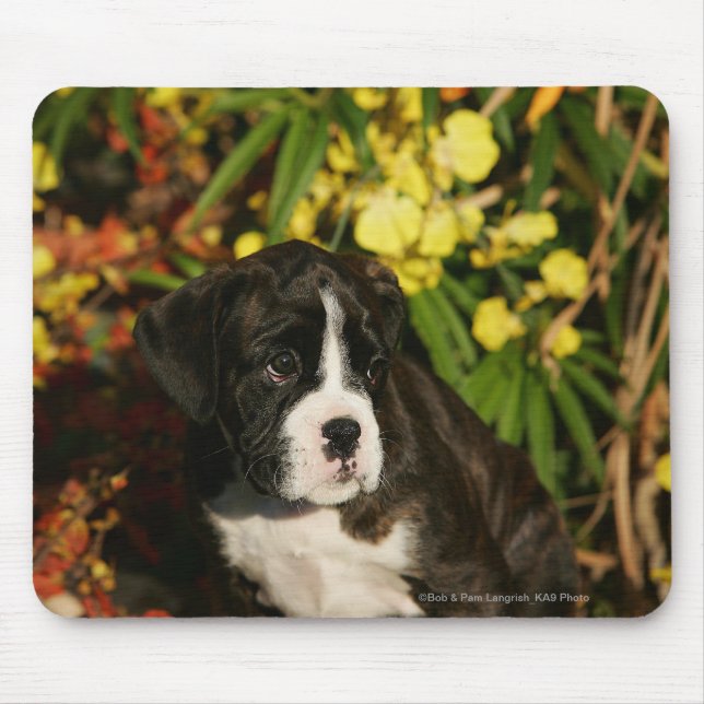 Tapis De Souris Chiots de boxeur (Devant)