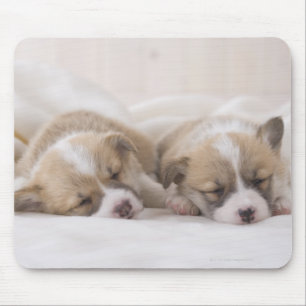 Tapis De Souris Chiots de Corgi gallois