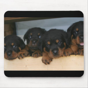 Tapis De Souris chiots de rottie