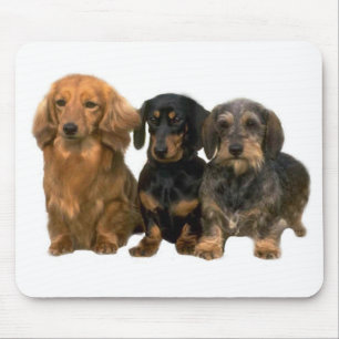 Tapis De Souris Chiots Mousepad de teckel