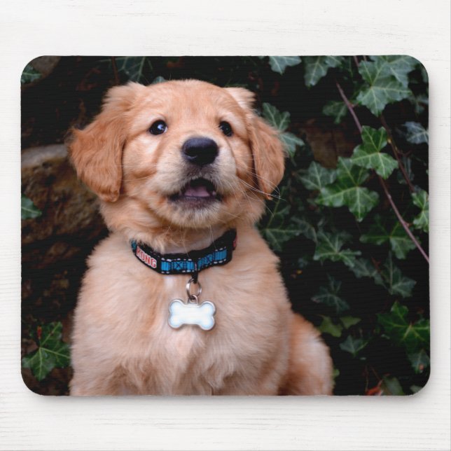 Tapis De Souris Chiots Retriever du Golden (Devant)