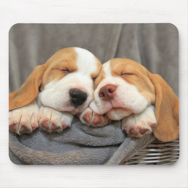 Tapis De Souris Chiots somnolents (Devant)