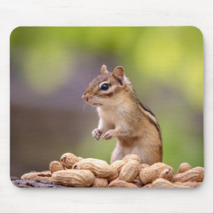 Tapis De Souris Chipmunk aux cacahuètes