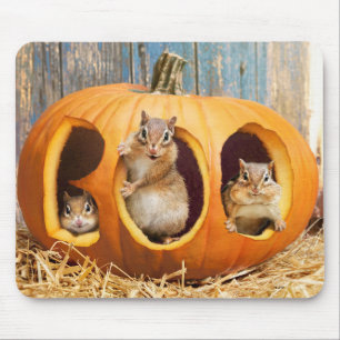 Tapis De Souris Chipmunks à l'intérieur de Boo Jack-o-Lantern