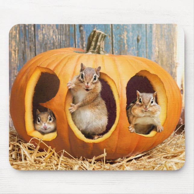 Tapis De Souris Chipmunks à l'intérieur de Boo Jack-o-Lantern (Devant)