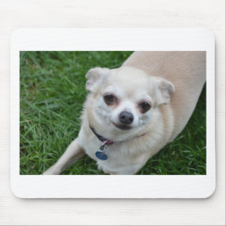 Tapis De Souris Chiwawa