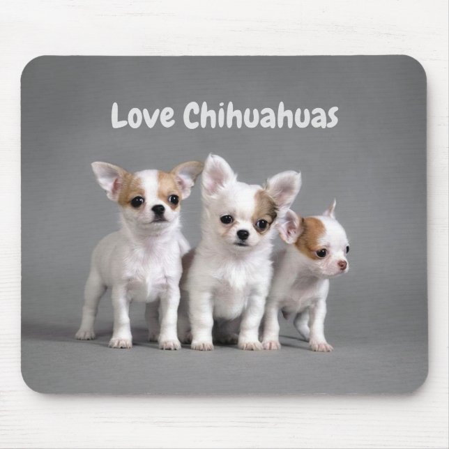 Tapis De Souris Chiwawas d'amour (Devant)