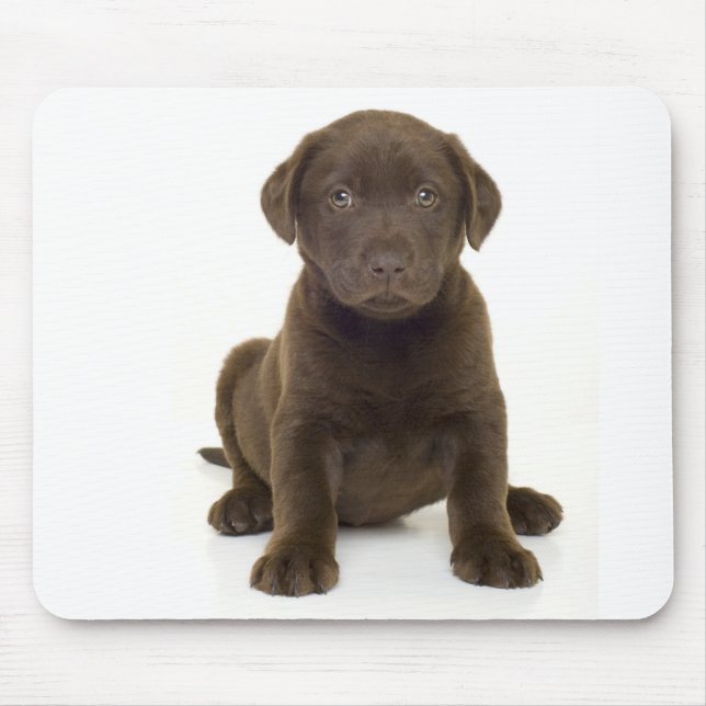 Tapis De Souris Chocolat Labrador Mousepad (Devant)