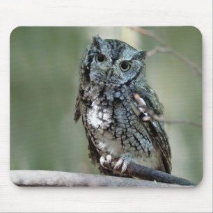 Tapis De Souris Chouette de l'Est, hibou, assis