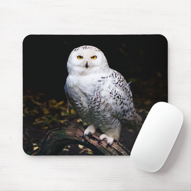 Tapis De Souris Chouette hivernale majestueuse (Avec souris)