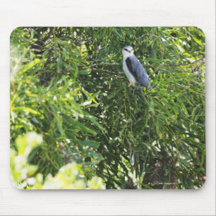 Tapis De Souris Chouette perchant sur un arbre