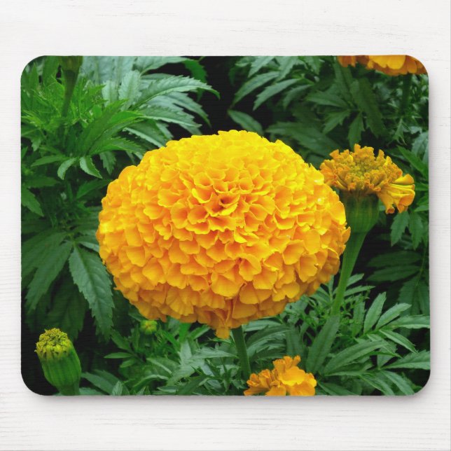Tapis De Souris Chrysanthème orange (Devant)