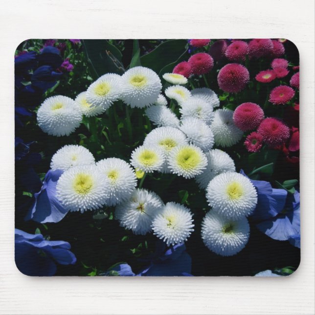 Tapis De Souris Chrysanthèmes de bouton (Devant)
