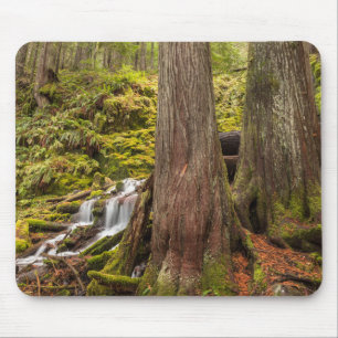 Tapis De Souris Chutes de White Branch, Cascades de l'Oregon, Oreg