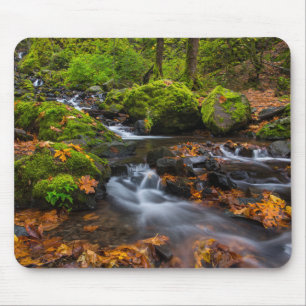 Tapis De Souris Chutes du ruisseau Starvation   Columbia Gorge, Or