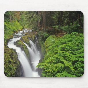Tapis De Souris Chutes Sol Duc dans le parc national Olympique en