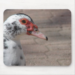 Tapis De Souris Ciel