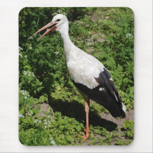 Tapis De Souris cigogne