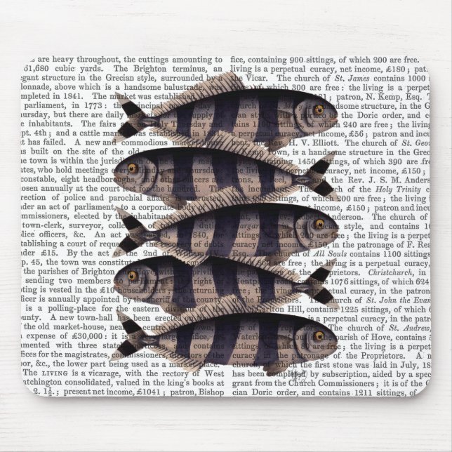 Tapis De Souris Cinq poissons triés (Devant)