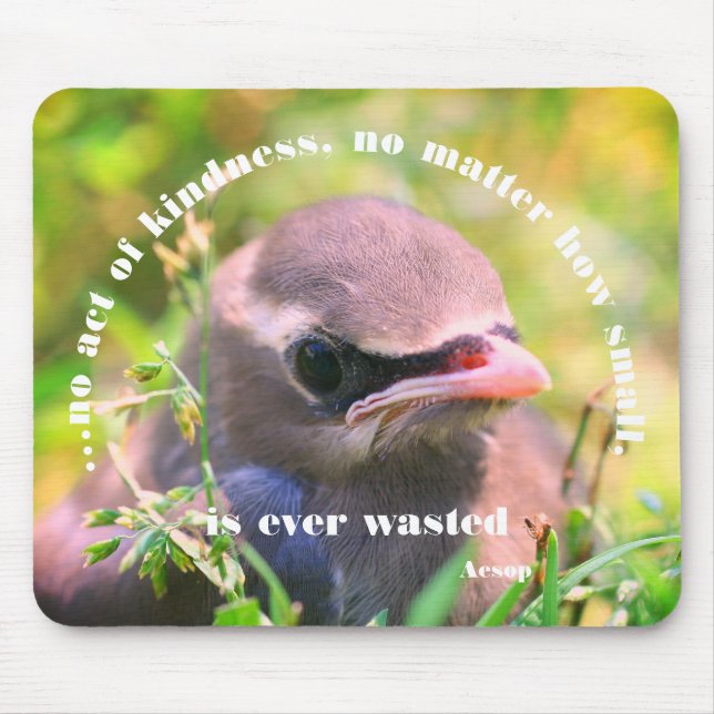 Tapis De Souris Citation de gentillesse d'oiseau bébé Inspirationn (Devant)