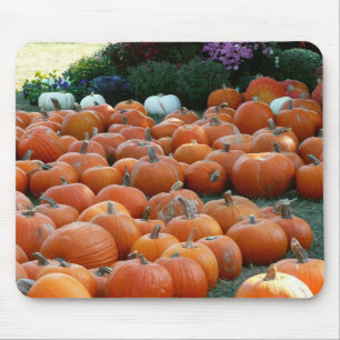 Tapis De Souris Citrouilles et Chrysanthèmes Photographie de la ré