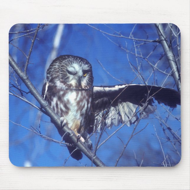 Tapis De Souris Cligner de l'oeil le hibou (Devant)