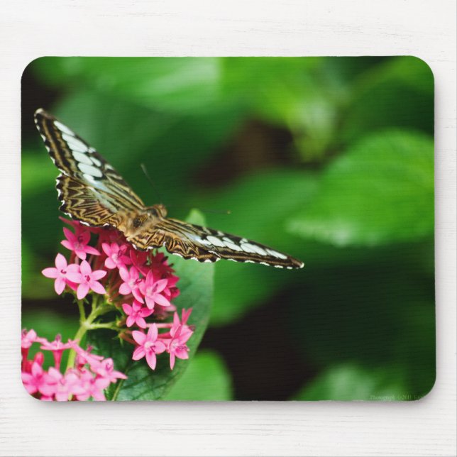 Tapis De Souris Clipper sur Pentas 2 Mousepad (Devant)