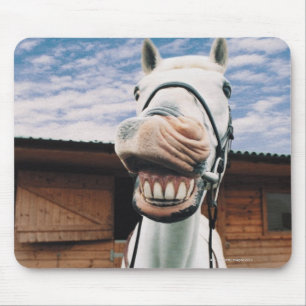 Tapis De Souris Close-up of Horse with Mouth Open