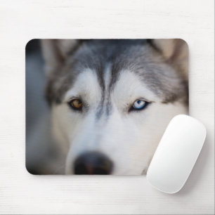 Tapis De Souris Closeup Stoic Gazaouit