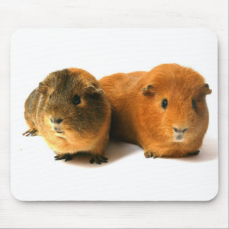 Tapis De Souris cobaye mignon