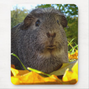 Tapis De Souris Cobaye mignon en nature