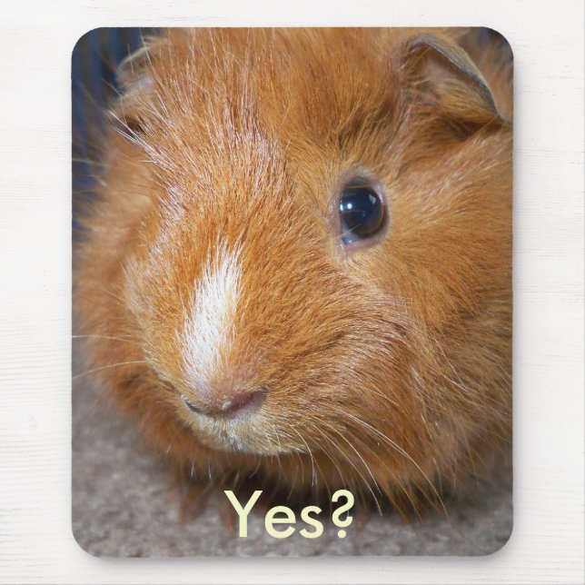 Tapis De Souris Cobaye Mousepad (Devant)