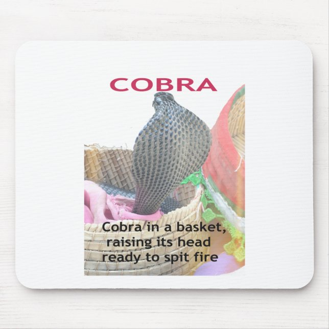 Tapis De Souris Cobra dans le panier Imprimer (Devant)