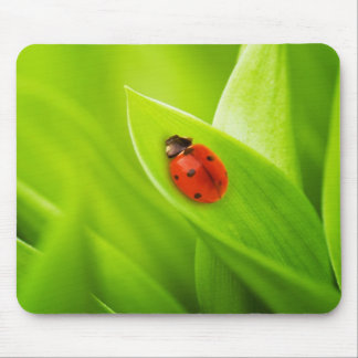 Tapis De Souris Coccinelle