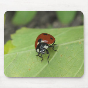 Tapis De Souris Coccinelle amicale