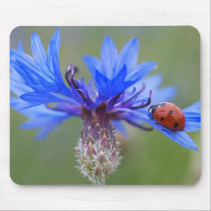 Tapis De Souris Coccinelle Fleurs Bleues Art Amour Paix Destinée V