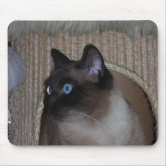 Tapis De Souris Coccinelle Mousepad
