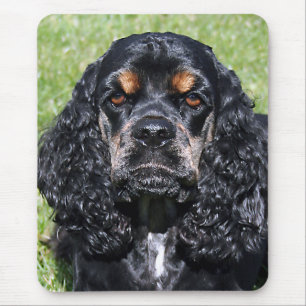 Tapis De Souris Cocker Spaniel