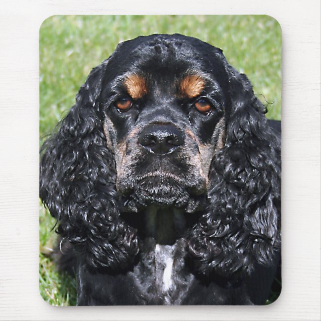 Tapis De Souris Cocker Spaniel (Devant)