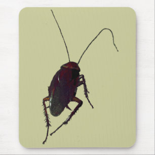Tapis De Souris Cockroach croquant
